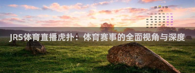 JRS体育直播虎扑：体育赛事的全面视角与深度