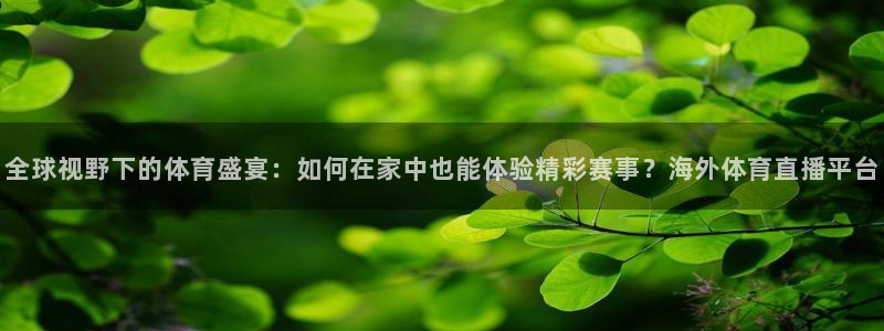 全球视野下的体育盛宴：如何在家中也能体验精彩赛事？海外体育直播平台