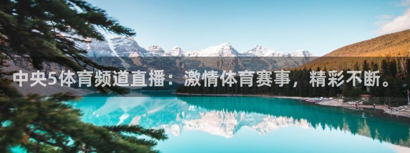 中央5体育频道直播：激情体育赛事，精彩不断。