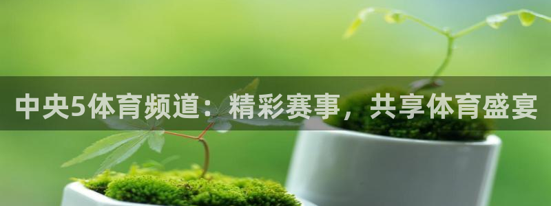 中央5体育频道：精彩赛事，共享体育盛宴