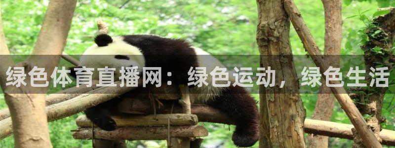 绿色体育直播网：绿色运动，绿色生活