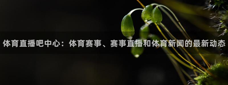 体育直播吧中心：体育赛事、赛事直播和体育新闻的最新动态