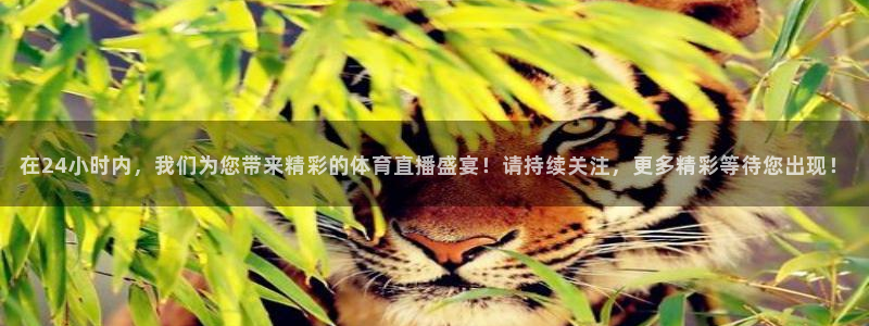 在24小时内，我们为您带来精彩的体育直播盛宴！请持续关注，更多精彩等待您出现！