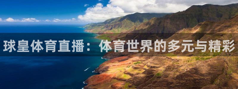 球皇体育直播：体育世界的多元与精彩