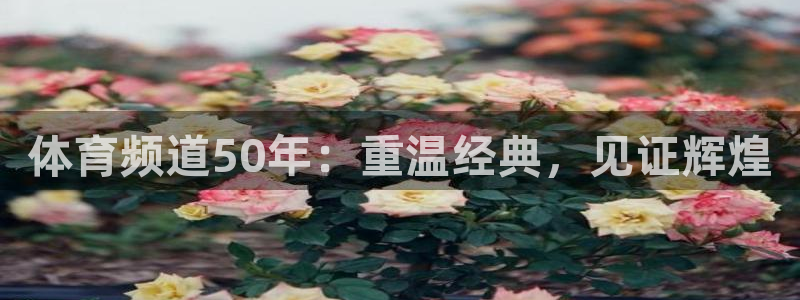体育频道50年：重温经典，见证辉煌