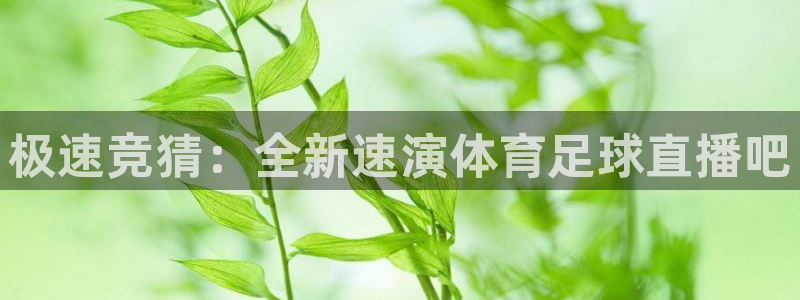 极速竞猜：全新速演体育足球直播吧
