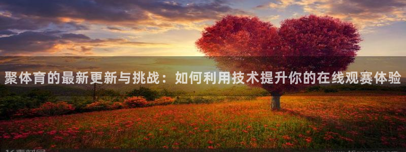 聚体育的最新更新与挑战：如何利用技术提升你的在线观赛体验