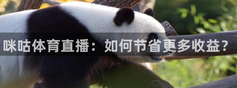 咪咕体育直播：如何节省更多收益？