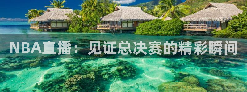 NBA直播：见证总决赛的精彩瞬间