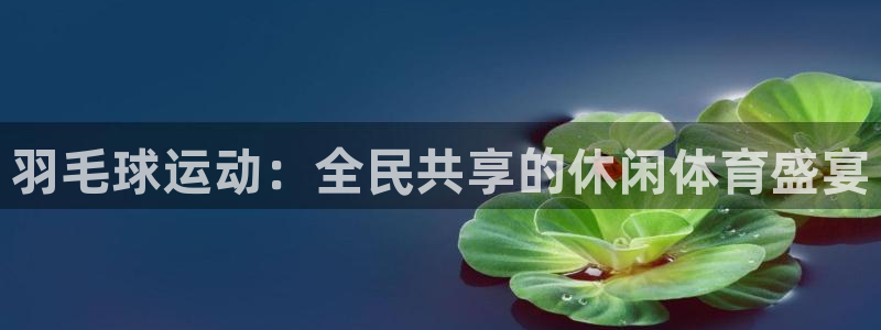 羽毛球运动：全民共享的休闲体育盛宴