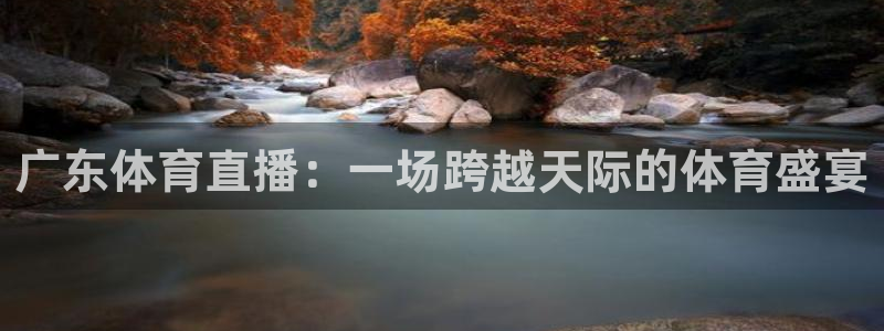 广东体育直播：一场跨越天际的体育盛宴