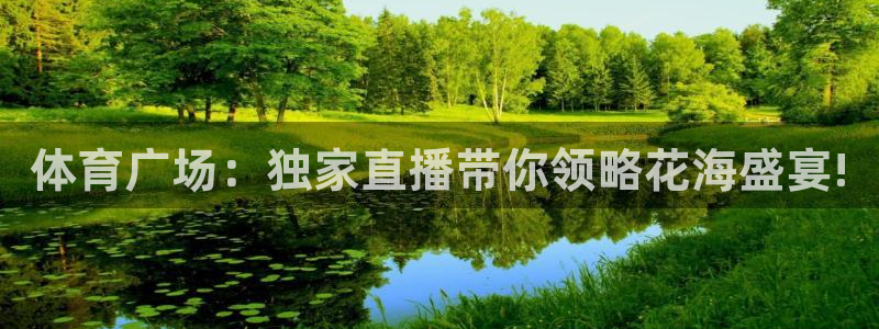 体育广场：独家直播带你领略花海盛宴!