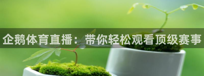 企鹅体育直播：带你轻松观看顶级赛事